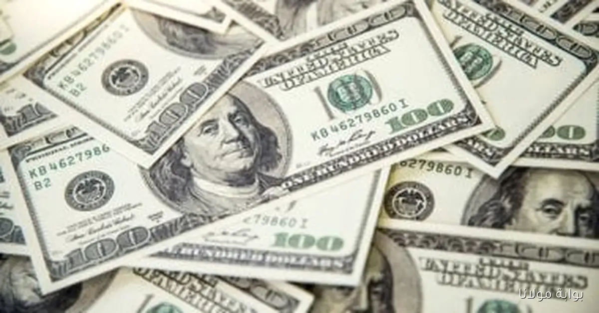 أسعار الدولار مقابل الجنيه المصري في منتصف تعاملات يوم الإثنين 15 سبتمبر 2025