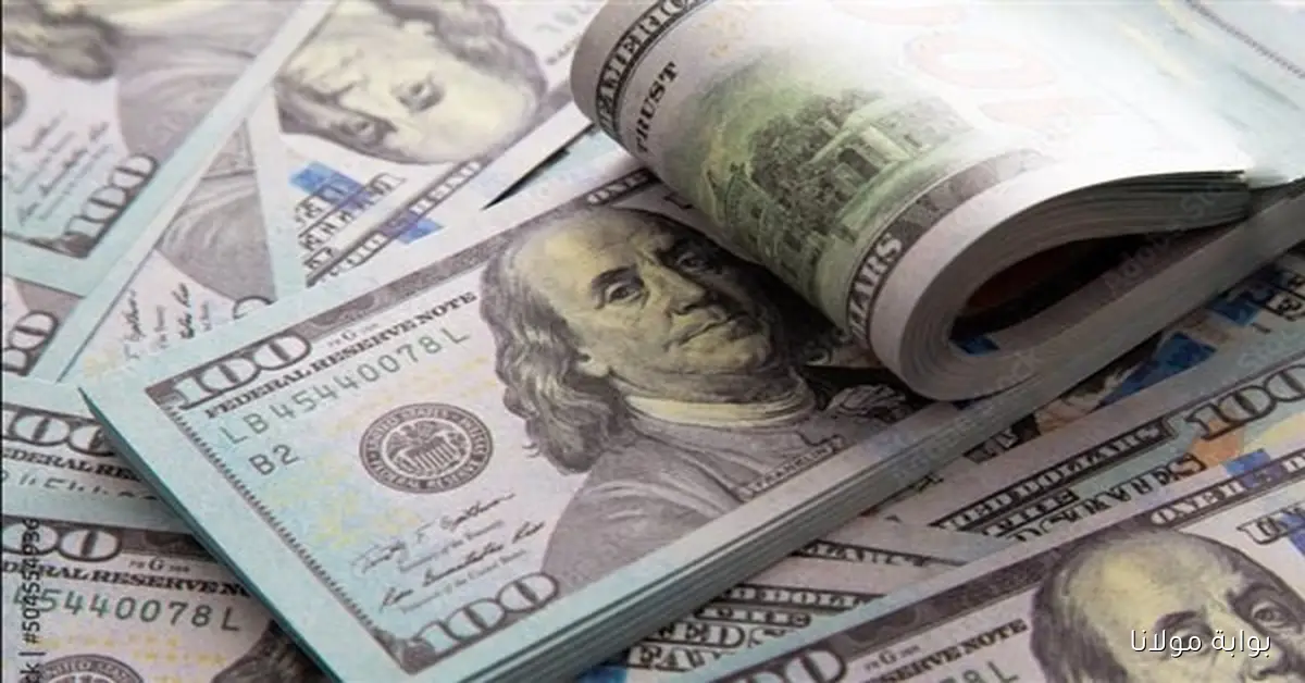 أسعار الدولار مقابل الجنيه اليوم الاثنين 15 سبتمبر 2025
