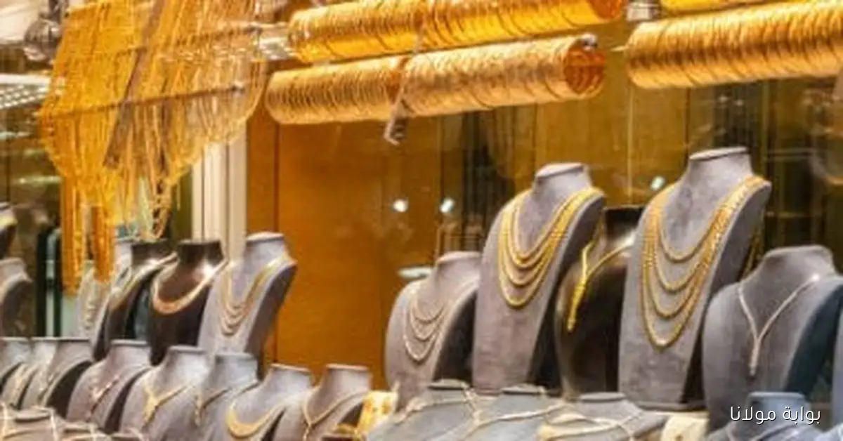 أسعار الذهب في مصر تشهد ارتفاعًا ملحوظًا لعيار 24