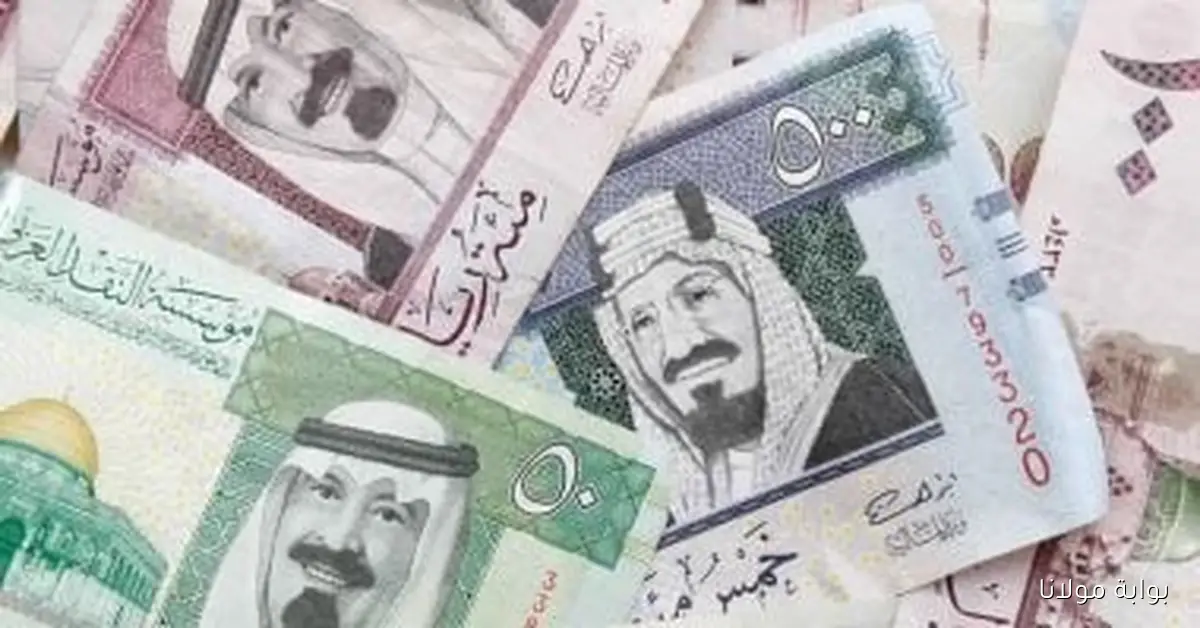 أسعار الريال السعودي مقابل الجنيه اليوم الأربعاء 17 سبتمبر 2025