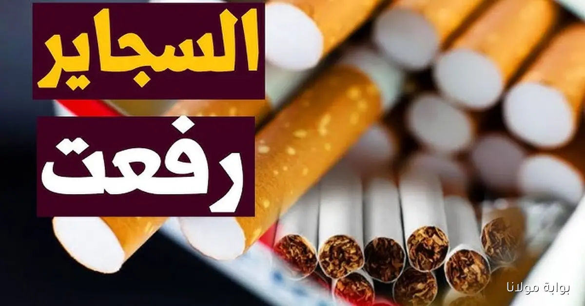 “بلاش منها” أسعار السجائر اليوم الخميس 18 سبتمبر 2025 في الأسواق