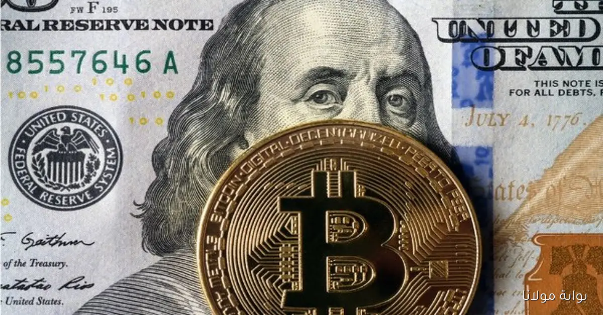 أسعار العملات الرقمية تشهد قفزة جديدة مع وصول “بيتكوين” إلى أكثر من 113 ألف دولار
