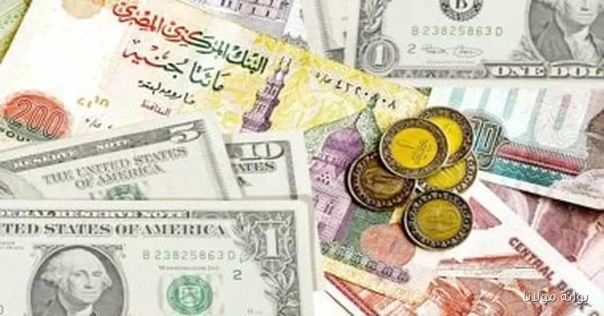 أسعار العملات في السوق اليوم السبت 20 سبتمبر 2025 والدولار يسجل 48.14 جنيه للشراء