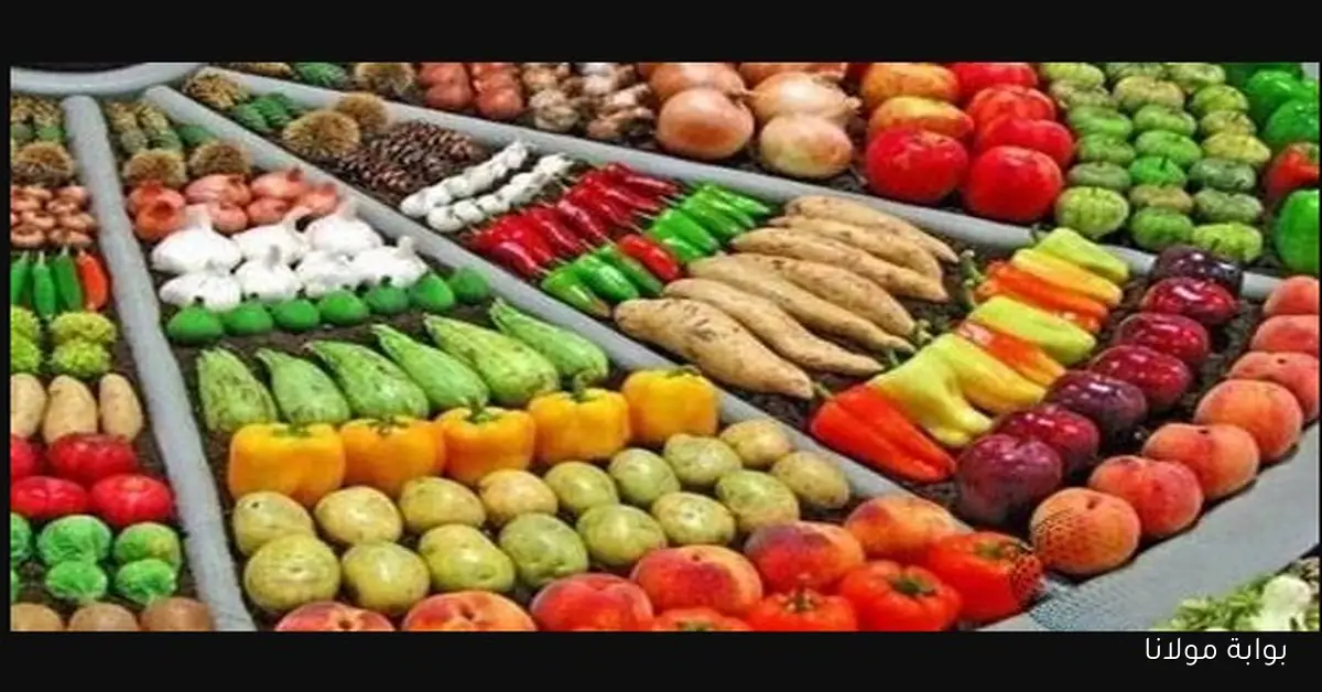 الطماطم تقفز لـ 25 جــ .. أسعار الخضراوات والفاكهة اليوم الأربعاء 17\9\2025 في سوق العبور