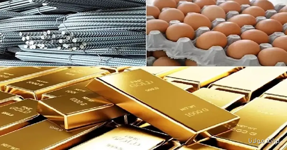 أسعار اليوم تشهد زيادة سعر الفراخ والزيت مع تراجع في عيار الذهب