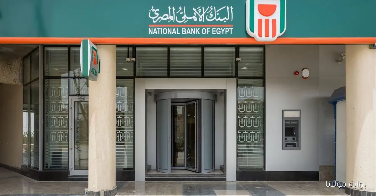 الشهادة البلاتينية .. أعلى عائد شهادات البنك الأهلي اليوم 2025 المتاحة في كافة الفروع