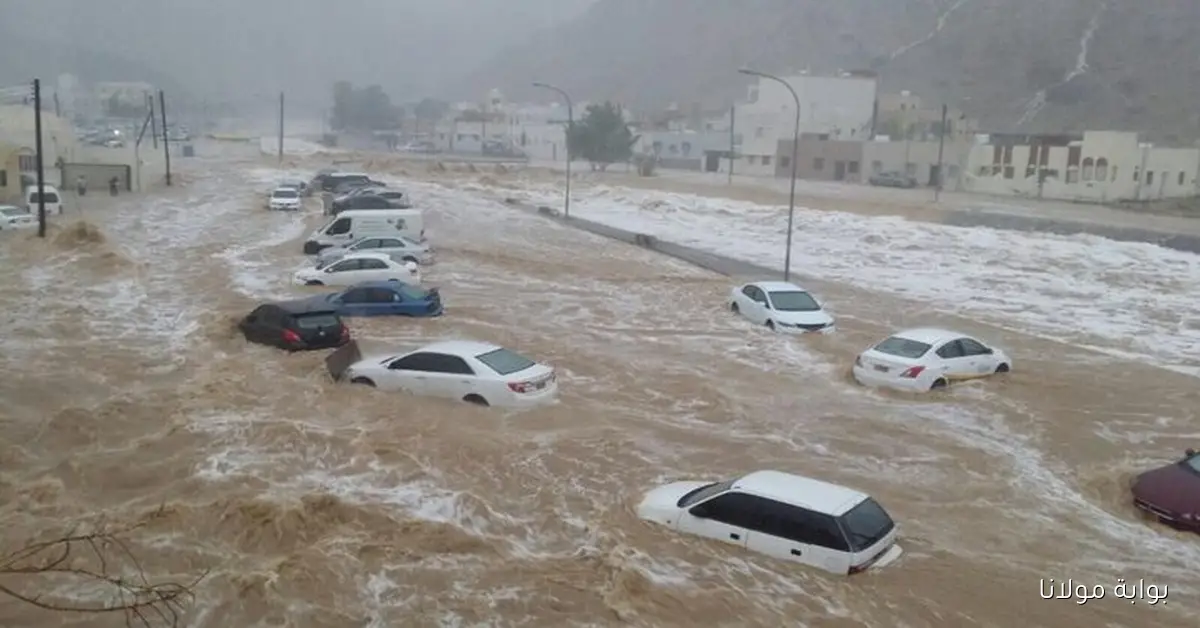 الخريف القارس يطرق الأبواب.. أمطار وبرق ورعد يجتاح المملكة وتحذيرات عاجلة من الأرصاد