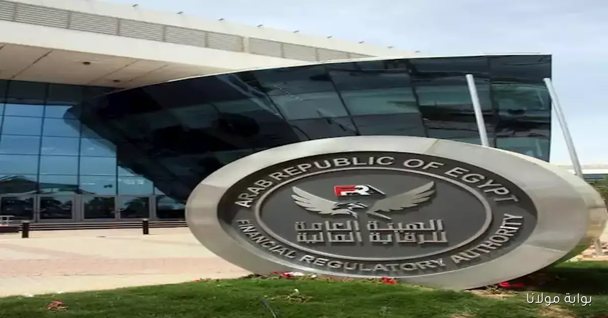 إرشادات جديدة لشركات التمويل غير المصرفي حول ضرورة الإبلاغ الفوري عن الحدود الائتمانية للعملاء