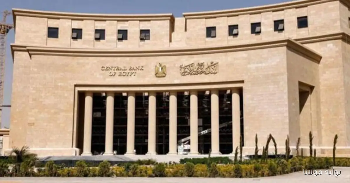 «اجتماع الفائدة» في مصر.. توقعات بخفض 100 نقطة أساس جديدة