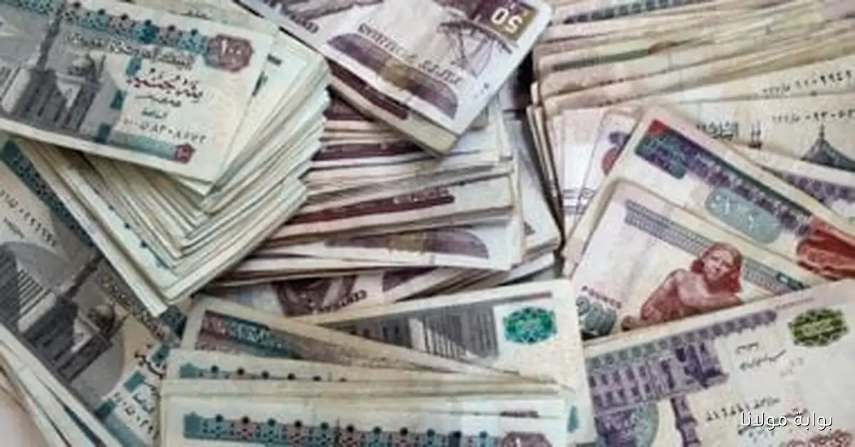 استثمارات ضخمة تصل إلى 16.9 مليار جنيه في صناديق التأمين الخاصة خلال نصف عام