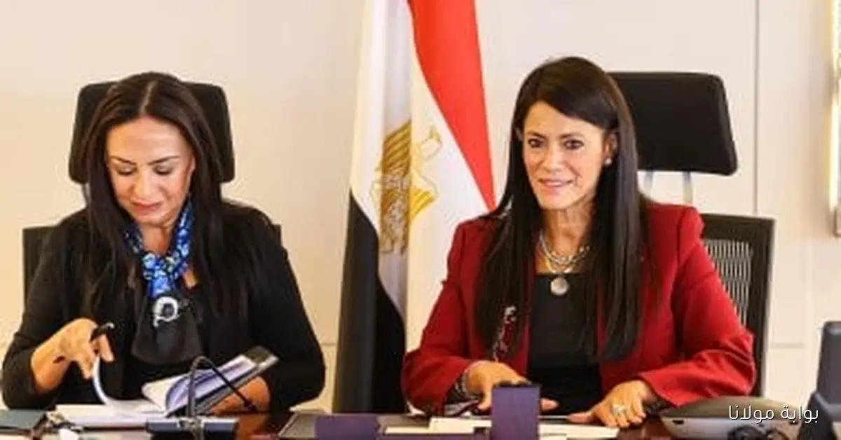 استثمارات وزارة التضامن تصل إلى 768.5 مليون جنيه في خطة 2026/2025