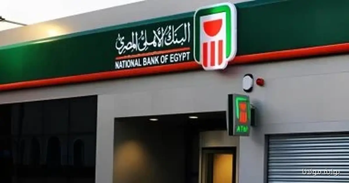 استثمر 100 ألف جنيه في البنك الأهلي واحصل على أعلى عائد لمدة عام