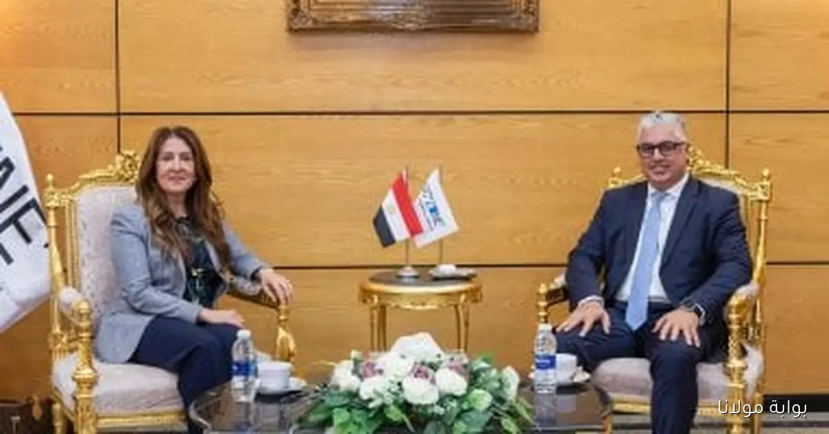 استقبال رئيس اقتصادية قناة السويس لسفيرة أمريكا ووفد من الشركات الكبرى لتعزيز التعاون الاقتصادي