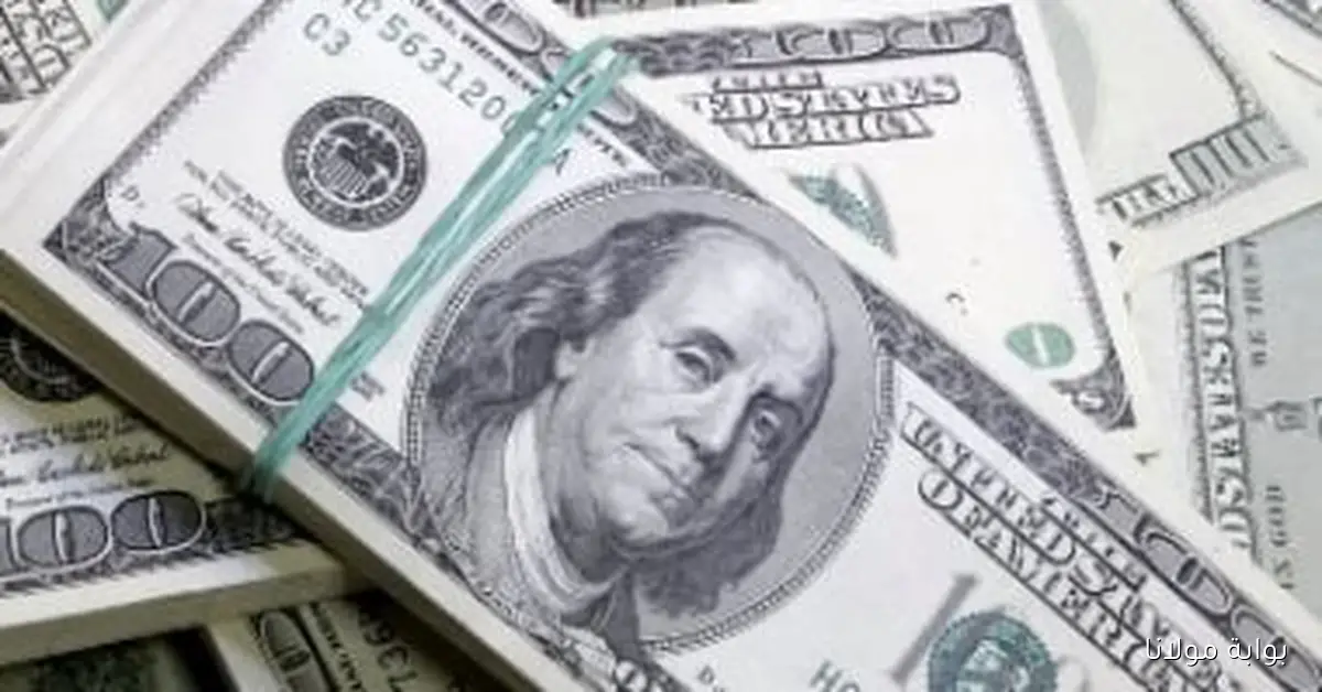 استقرار سعر الدولار في البنوك المصرية خلال التداولات المسائية