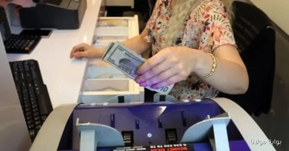 استقرار سعر الدولار في نهاية الأسبوع 26 سبتمبر 2025 رغم العطلة