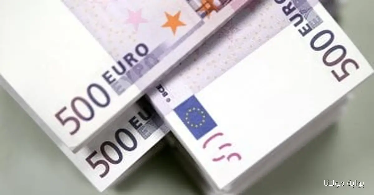 استقرار سعر اليورو في ختام تعاملات البنوك اليوم الثلاثاء 23 سبتمبر 2025