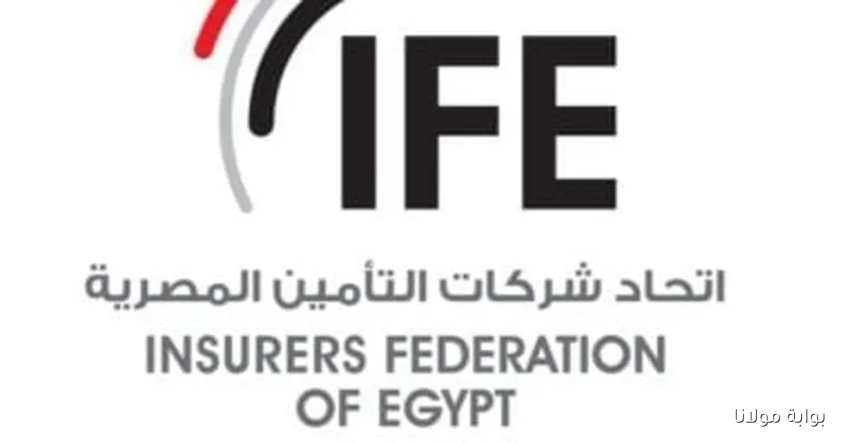 اكتشف كيف يسهم الخبير الاكتواري في تعزيز صناعة التأمين