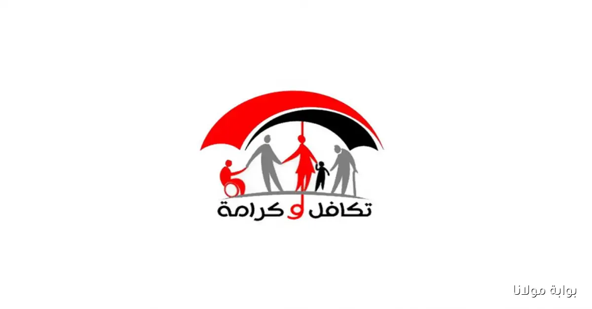 وزارة التضامن الاجتماعي الاستعلام عن الأسماء الجدد في تكافل وكرامة 2025 بالرقم القومي فقط