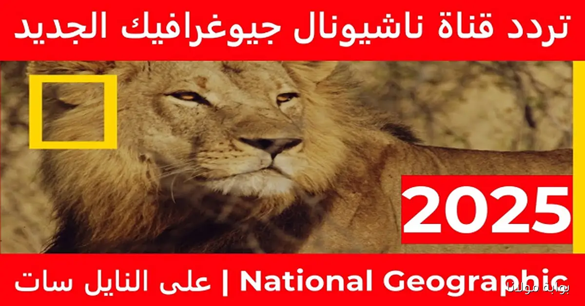 وثائقيات قوية.. استقبل التردد الجديد لقناة ناشونال جيوغرافيك أبو ظبي 2025 وطريقة تثبيتها