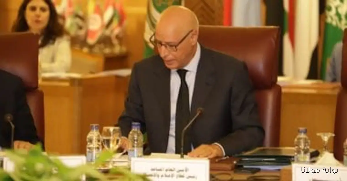 الجامعة العربية تؤكد أهمية القضية الفلسطينية في استراتيجيات الإعلام والاتصال