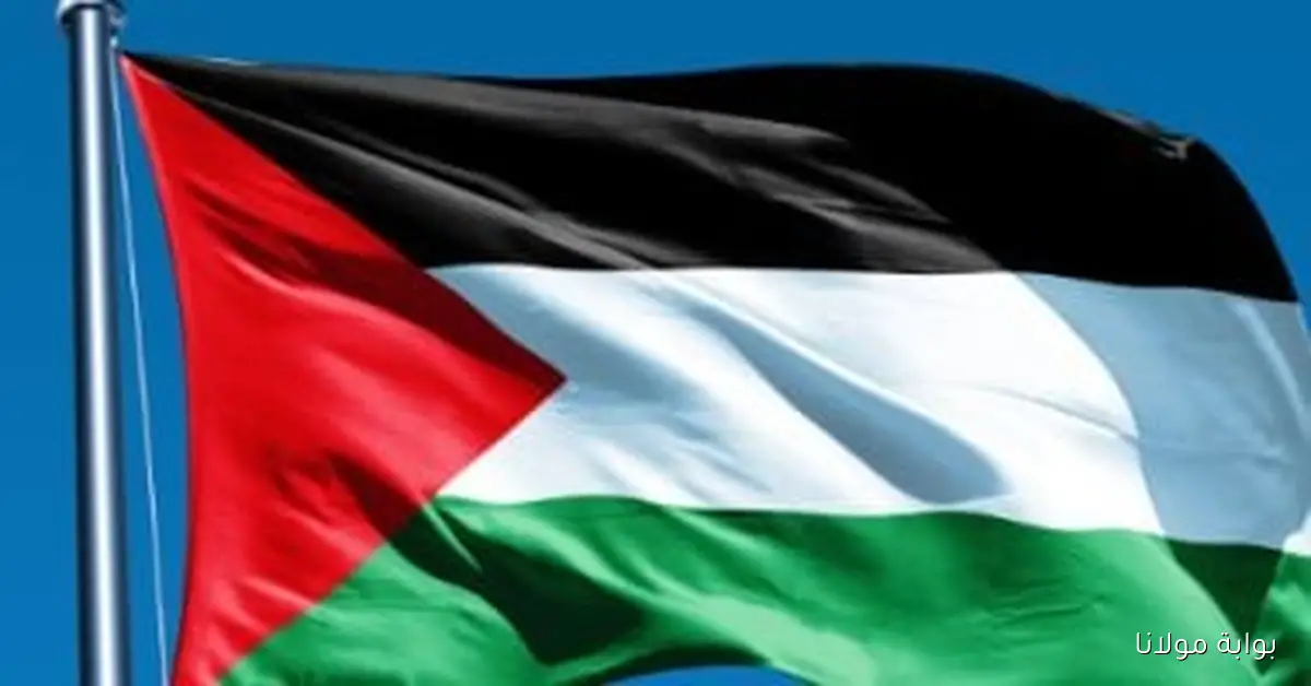 الخارجية الفلسطينية تدعو إلى تدخل دولي عاجل لحماية المدنيين في غزة