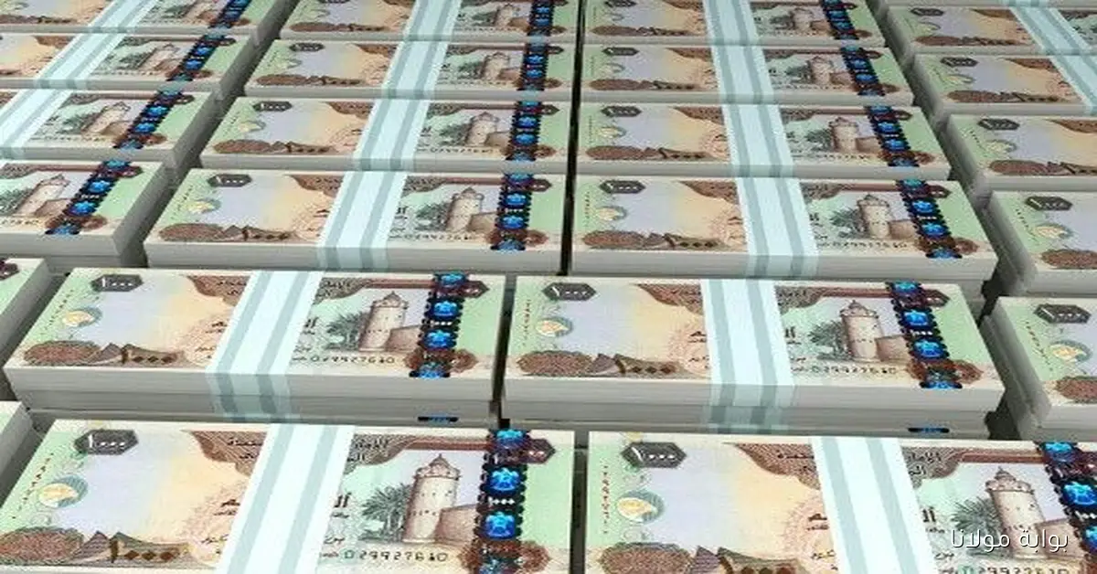 لحظة بلحظة.. إعرف سعر الدرهم الإماراتي اليوم الأربعاء 24-9-2025 مقابل الجنيه المصري في البنوك والسوق السوداء
