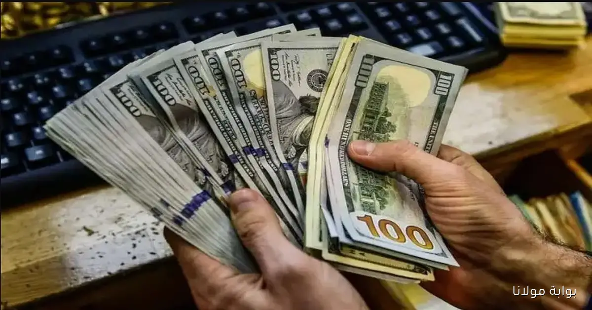 عاجل.. تحديث سعر الدولار اليوم 15-9-2025 في البنوك والسوق السوداء!