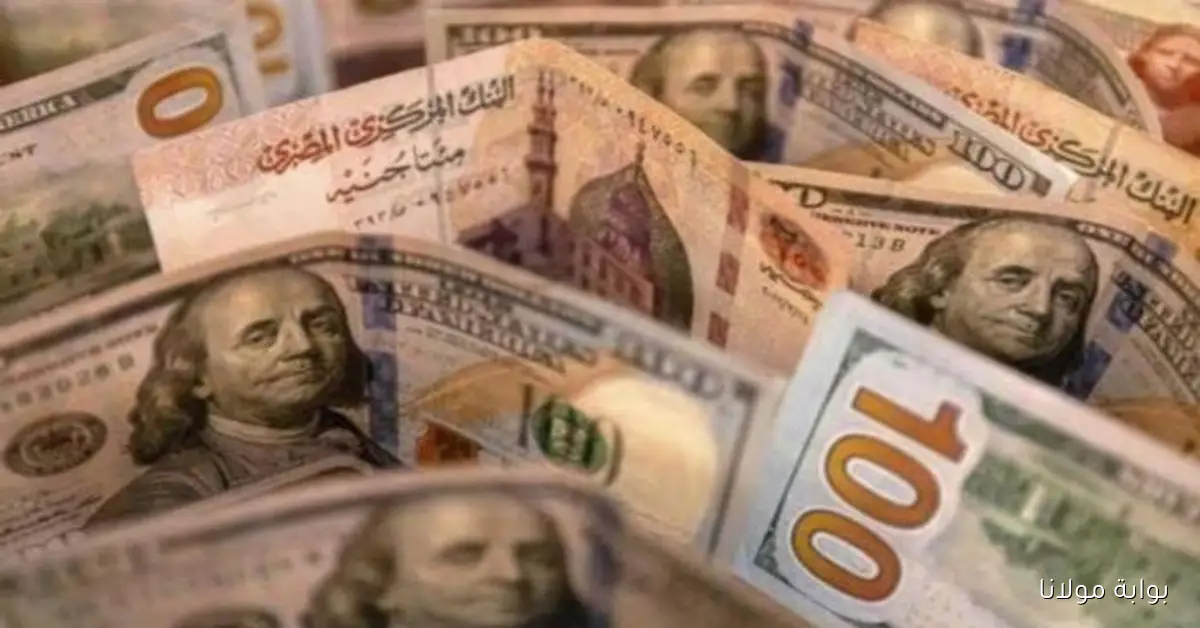 هبوط الدولار أمام الجنيه المصري.. توقعات بانتعاشة اقتصادية قادمة