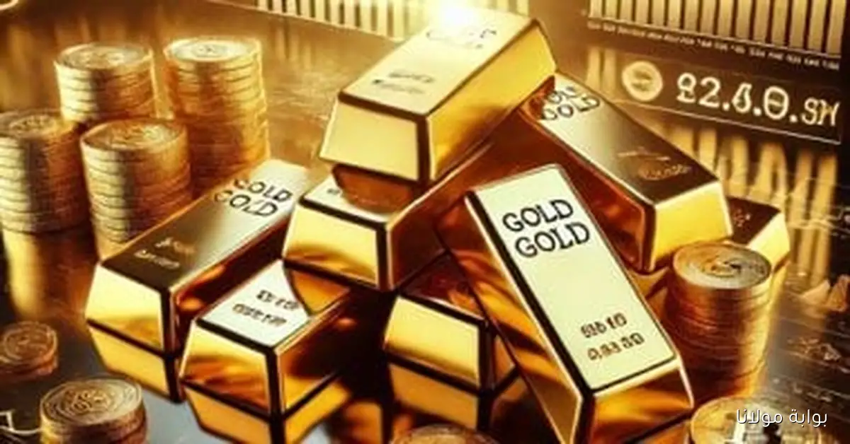 الذهب عيار 24 يسجل ارتفاعًا جديدًا يتجاوز 5600 جنيه وسط توقعات بمكاسب إضافية مع اجتماع الفيدرالي