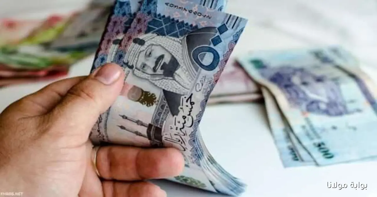 الراتب كم باقي .. المالية تحسم أمر تبكير صرف راتب الموظفين لشهر سبتمبر 2025 بمناسبة اليوم الوطني