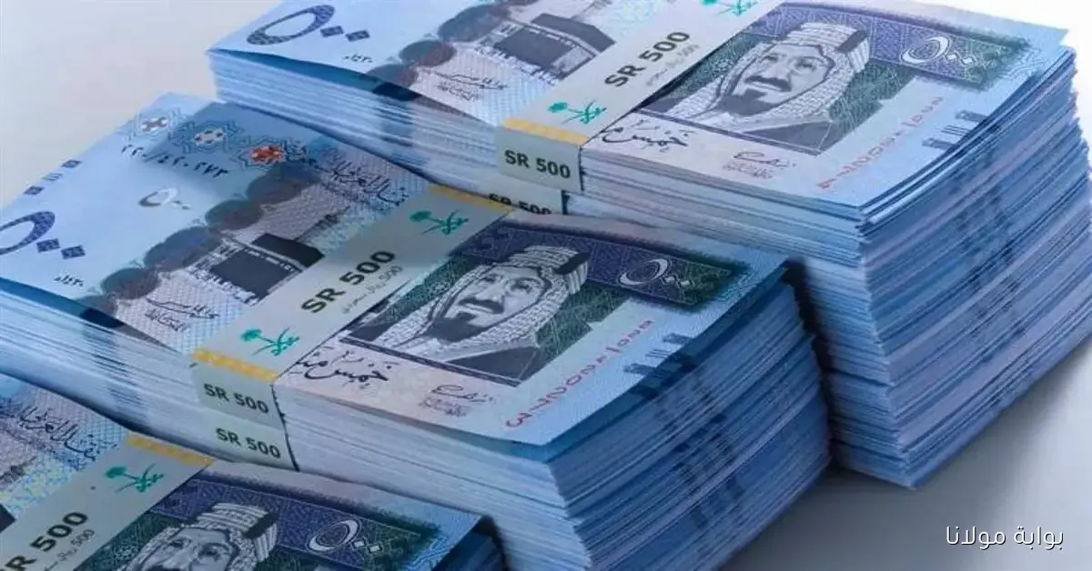 عامل كام.. سعر الريال السعودي يرتفع أمام الجنيه المصري في تعاملات الثلاثاء 23 سبتمبر 2025