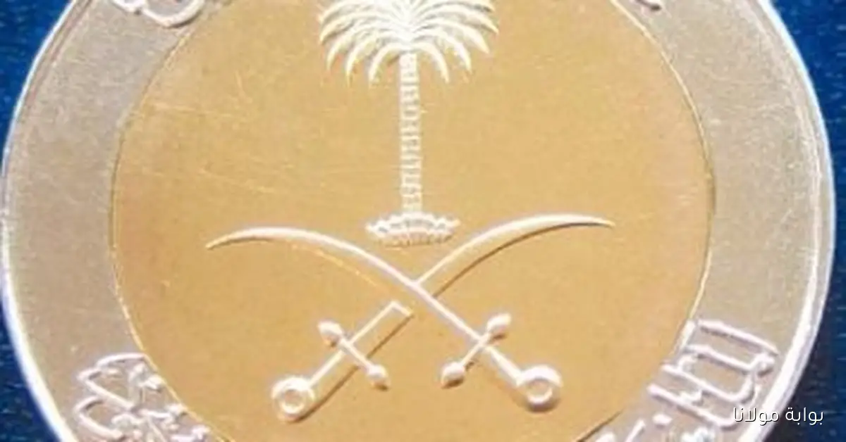 الريال السعودي يسجل 12.77 جنيه في البنك الأهلي اليوم الجمعة 26 سبتمبر 2025