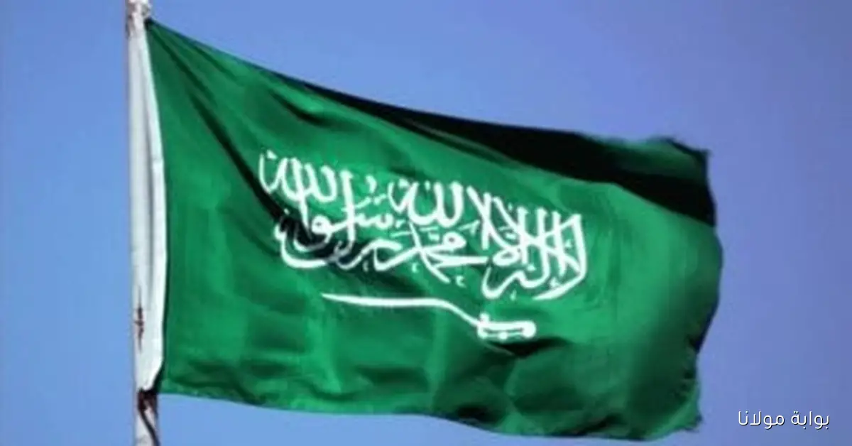 السعودية تعبر عن ترحيبها بخطة حل أزمة السويداء