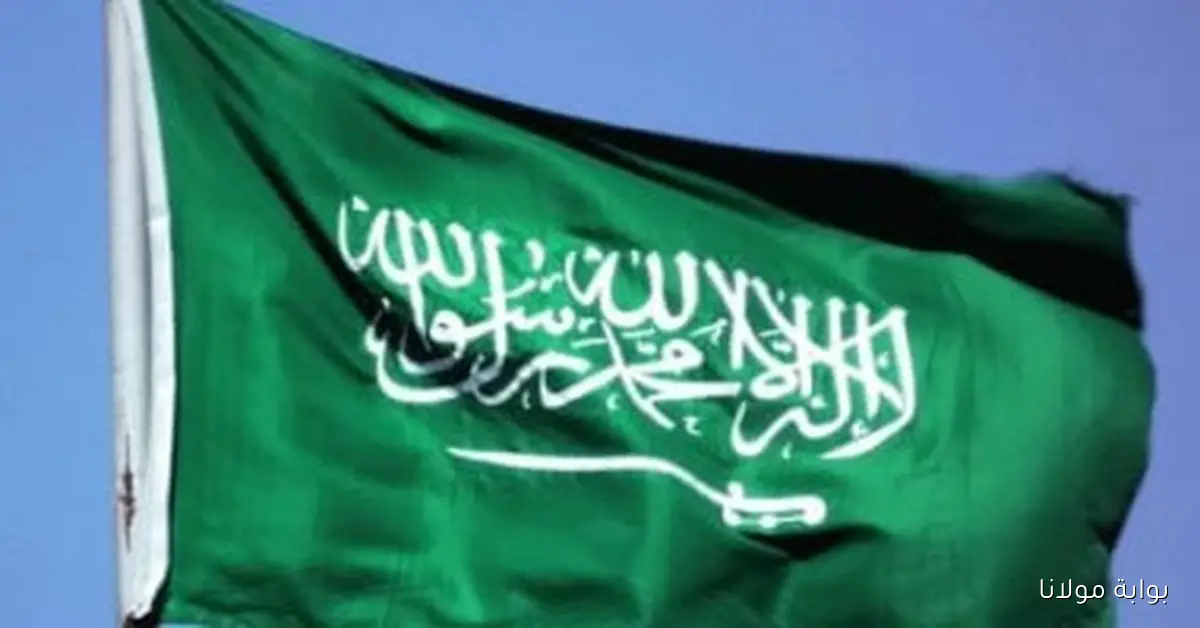 السعودية وباكستان تبرمان اتفاقية لتعزيز التعاون في مجال الدفاع الاستراتيجي