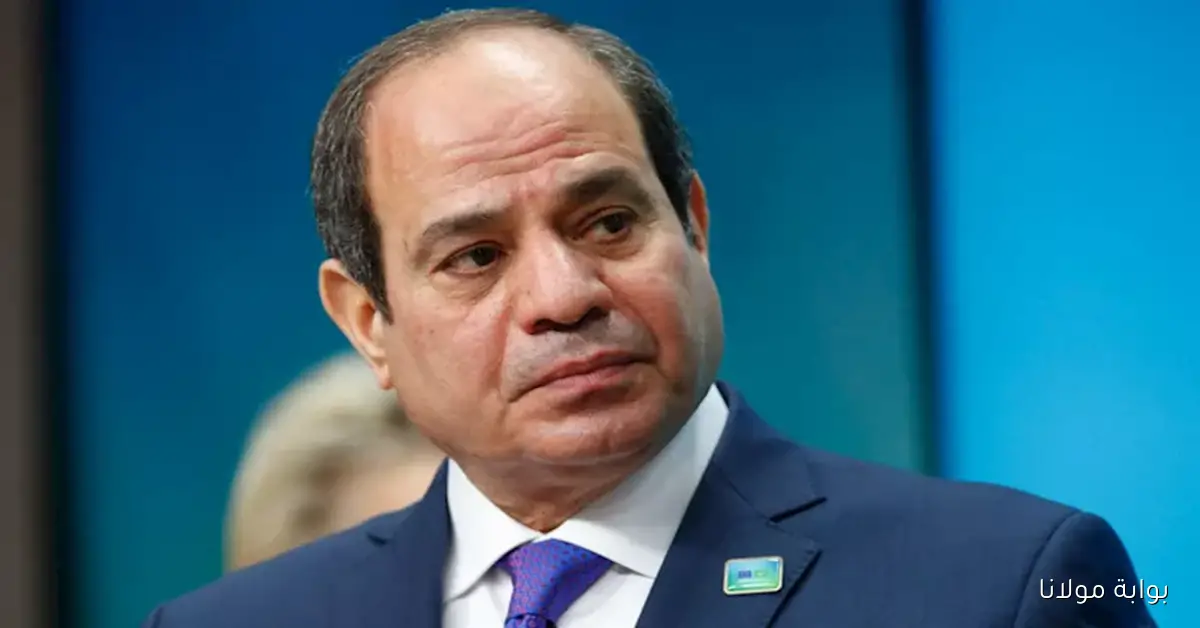 الرئيس السيسي وبن زايد يعبران عن دعمهما لمبادرة ترامب لإنهاء النزاع في غزة