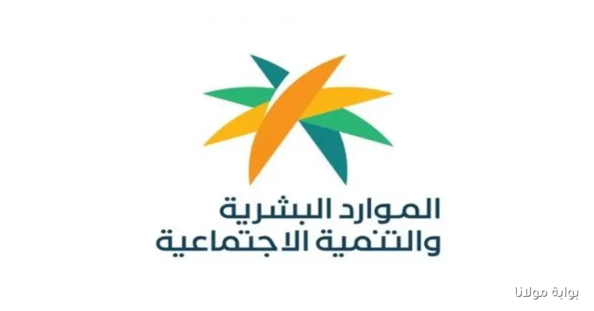 كل ما تريد معرفته عن الضمان الاجتماعي.. موعد الإعلان عن الأهلية وشروط الاستحقاق