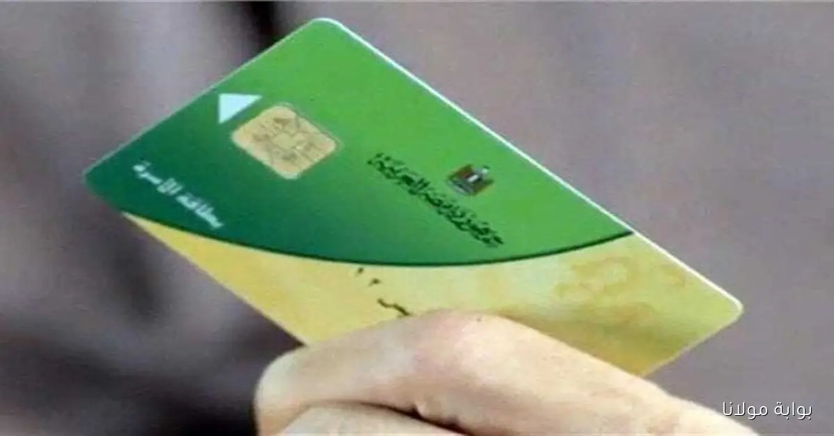 شروط وضوابط إضافة المواليد لبطاقة التموين – من هم المستحقون؟