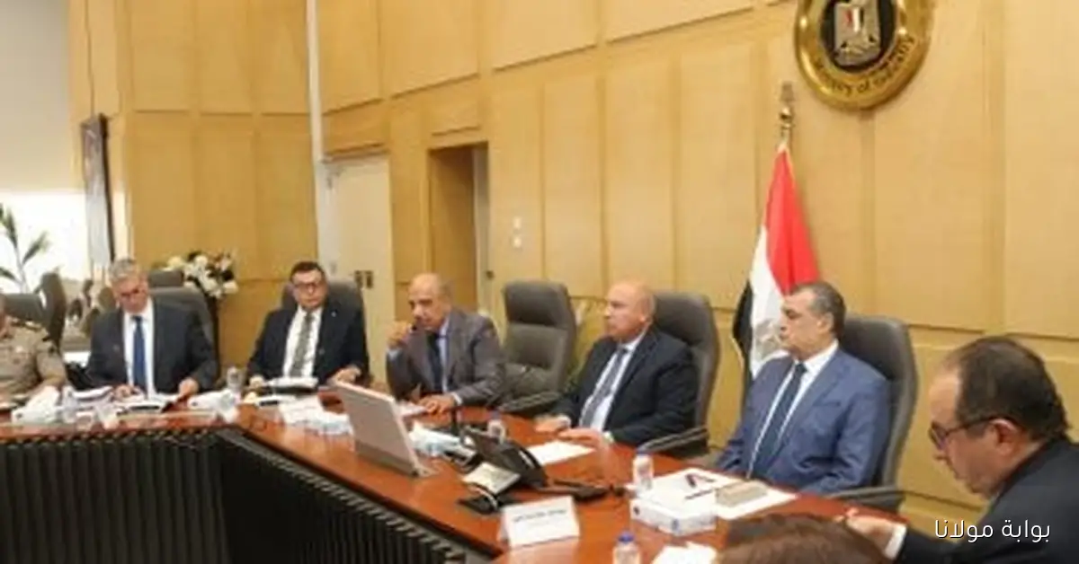 المجلس الأعلى للطاقة يركز على تسريع توفير الطاقة لدعم مشروعات الصناعة