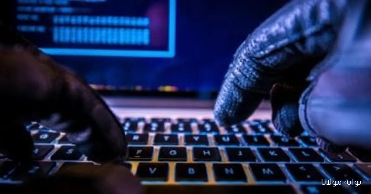 المدعى العام السويدي يكشف عن تسريب بيانات 1.5 مليون شخص نتيجة هجوم إلكتروني