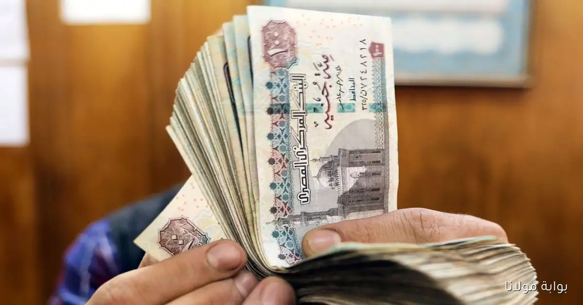 الهيئة القومية تكشف موعد صرف معاشات أكتوبر 2025 ورابط الاستعلام عبر موقع التأمينات الاجتماعية
