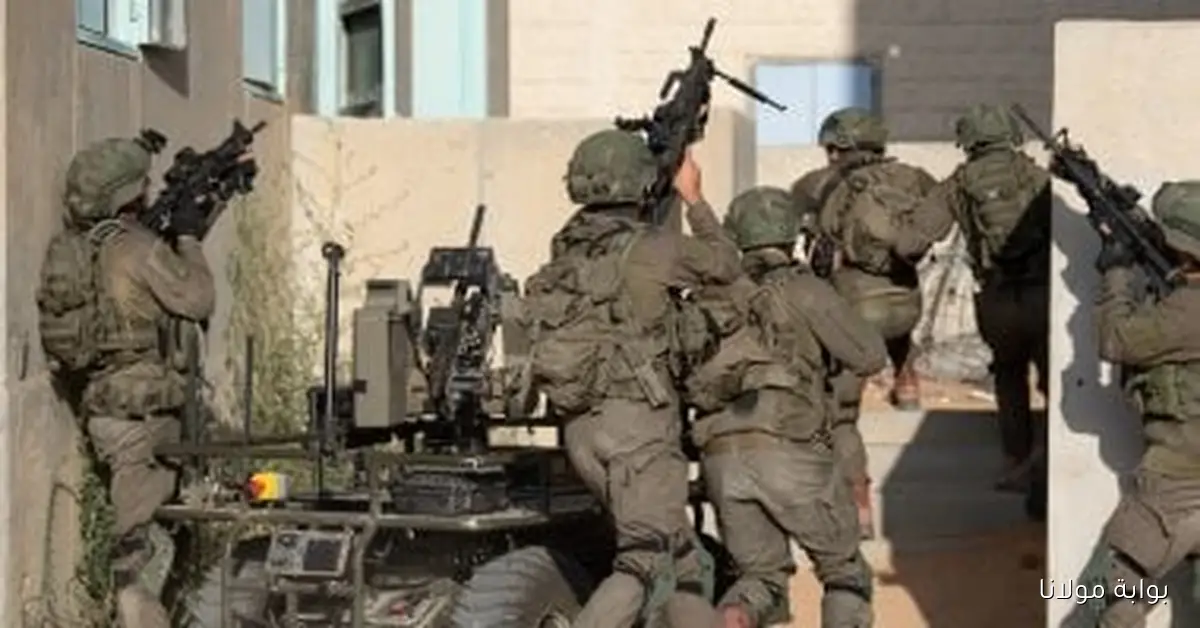 اليابان تعبر عن إدانتها للعمليات البرية الإسرائيلية في غزة وتطالب بوقف فوري لإطلاق النار