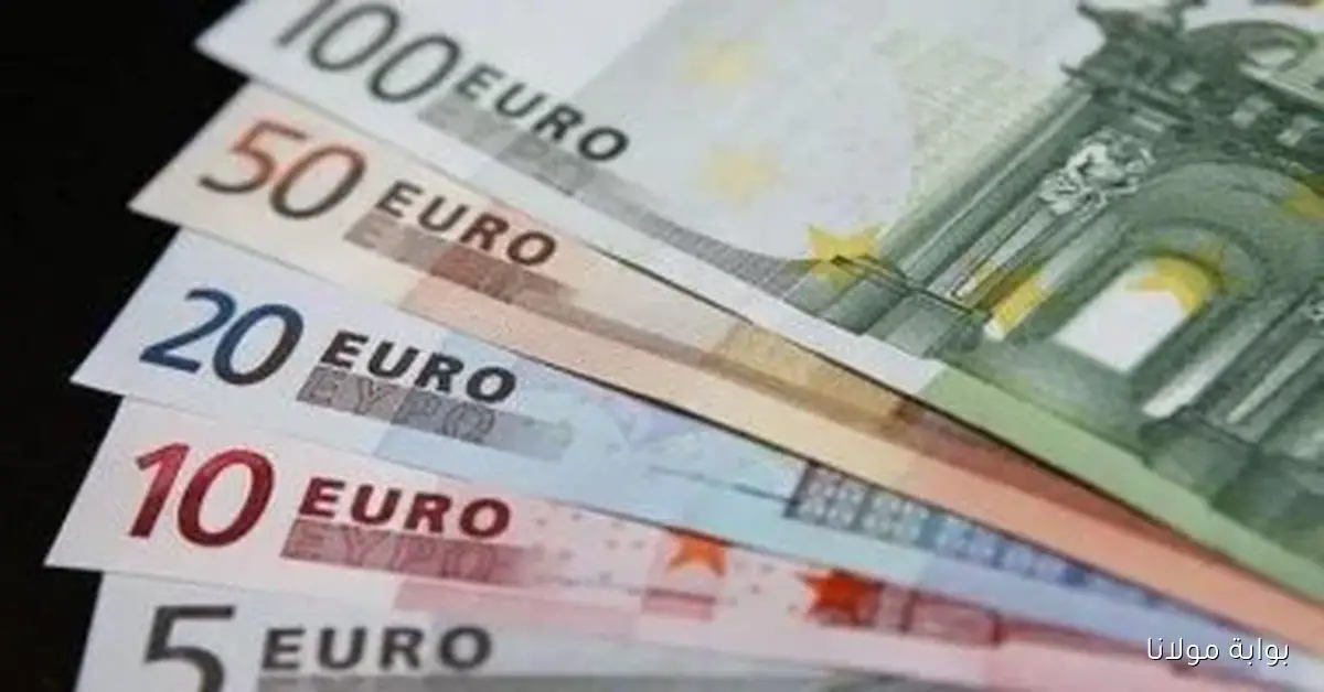 اليورو ينهي تعاملات الثلاثاء 30 سبتمبر 2025 بتراجع في البنوك المصرية