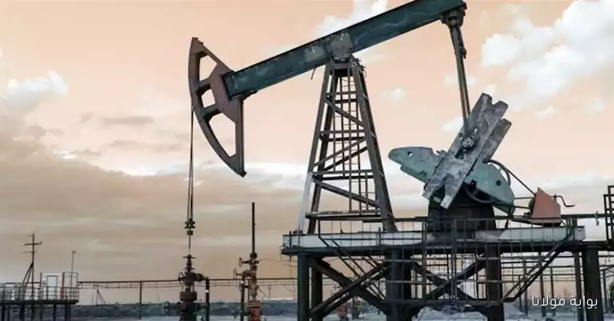 انخفاض أسعار النفط مع ترقب زيادة جديدة في إنتاج أوبك+