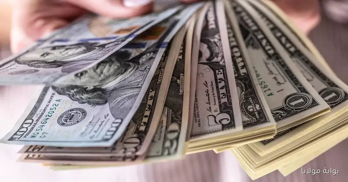 انخفاض سعر الدولار أمام الجنيه في 8 بنوك مع انتهاء تعاملات يوم الاثنين