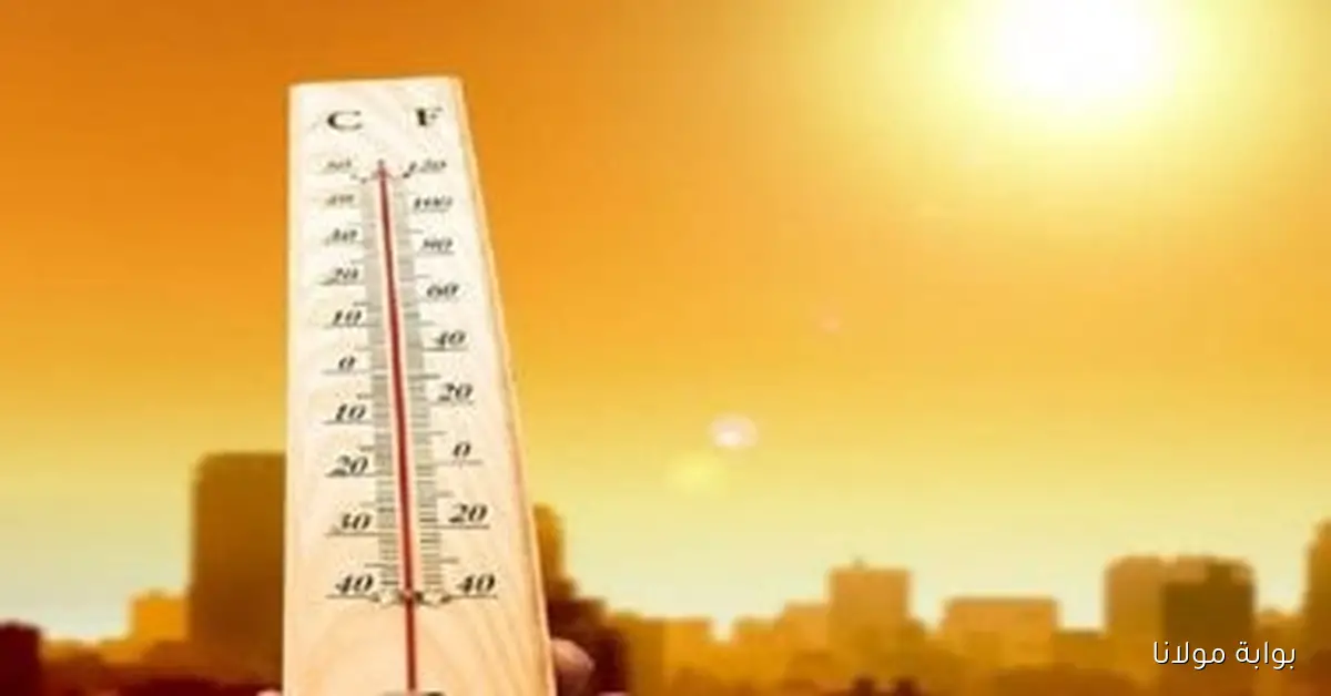 باحثون يحذرون من أن التغير المناخي يسبب وفاة الآلاف في أوروبا هذا الصيف