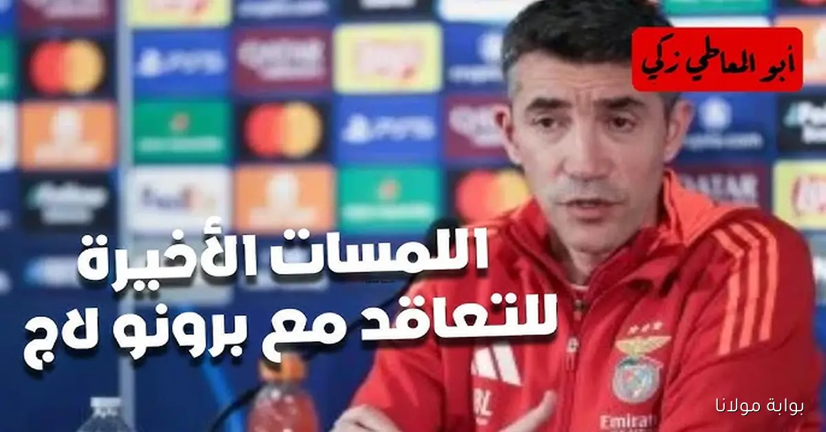 الأهلي في دوامة البحث عن مدرب جديد.. برونو لاج ضمن الترشيحات واسم البدري يعود بقوة