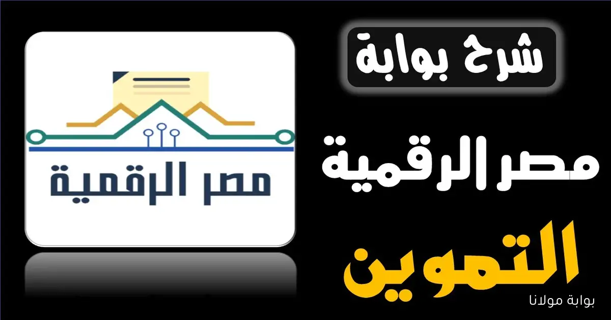 “مصر الرقمية” إضافة المواليد على بطاقة التموين 2025 والشروط المطلوبة