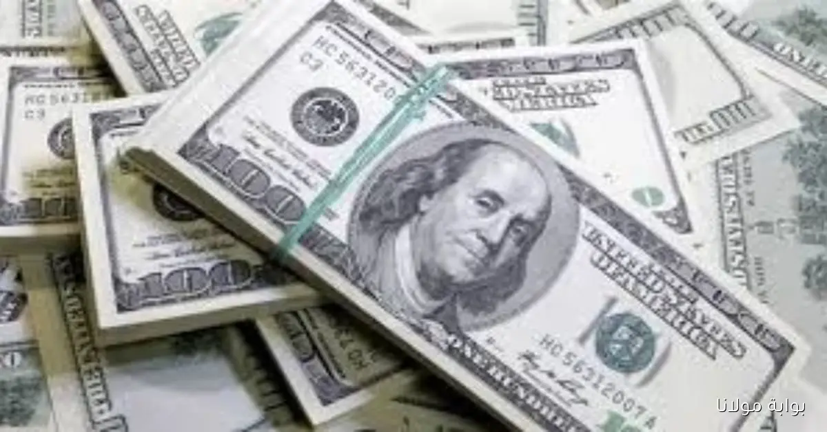 تحديث أسعار الدولار في البنك المركزي اليوم الإثنين 15 سبتمبر 2025