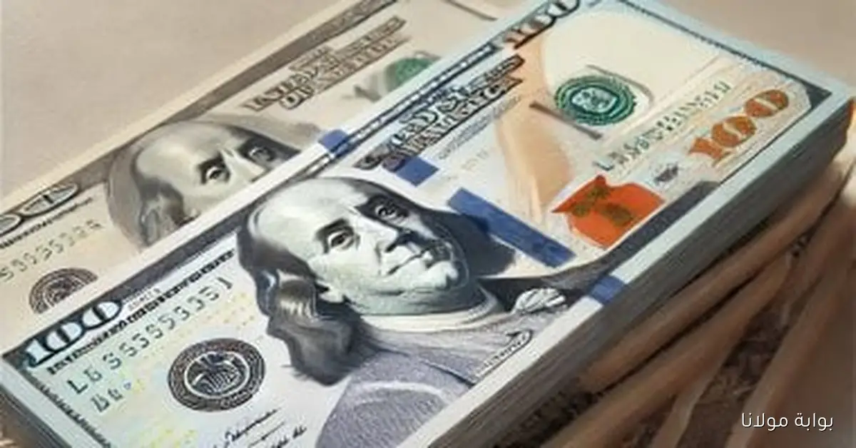 تحديث أسعار الدولار في البنوك اليوم الأربعاء 24 سبتمبر 2025