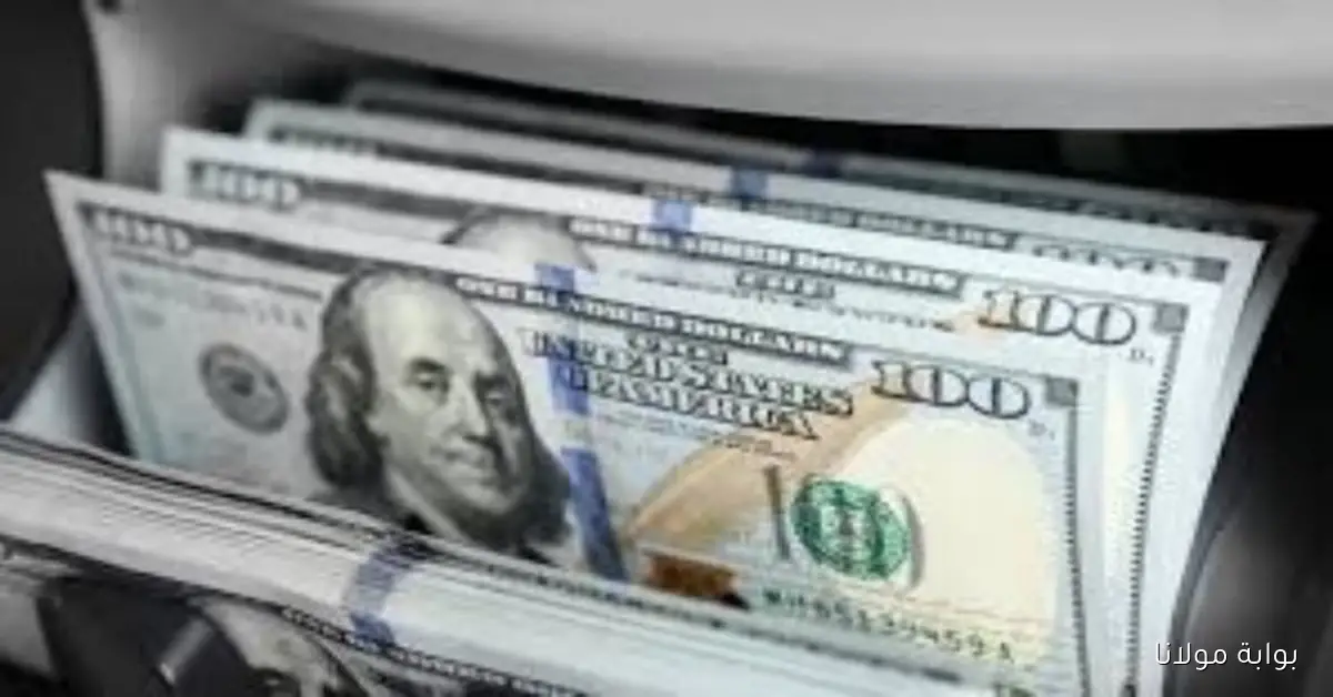 تحديث أسعار الدولار مقابل الجنيه في نهاية تعاملات يوم الأربعاء